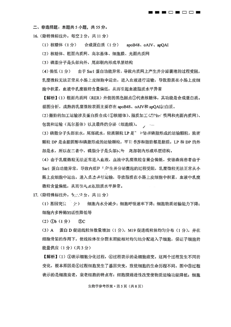 生物答案-重庆巴蜀中学2026届高三9月高考适应性月考卷（二）_2025年9月_250927重庆巴蜀中学2026届高三9月高考适应性月考卷（二）（全科）