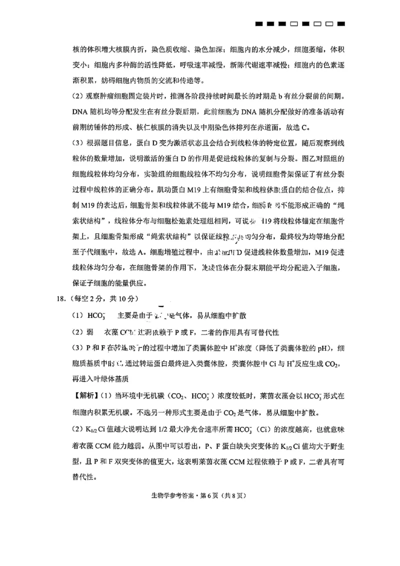 生物答案-重庆巴蜀中学2026届高三9月高考适应性月考卷（二）_2025年9月_250927重庆巴蜀中学2026届高三9月高考适应性月考卷（二）（全科）