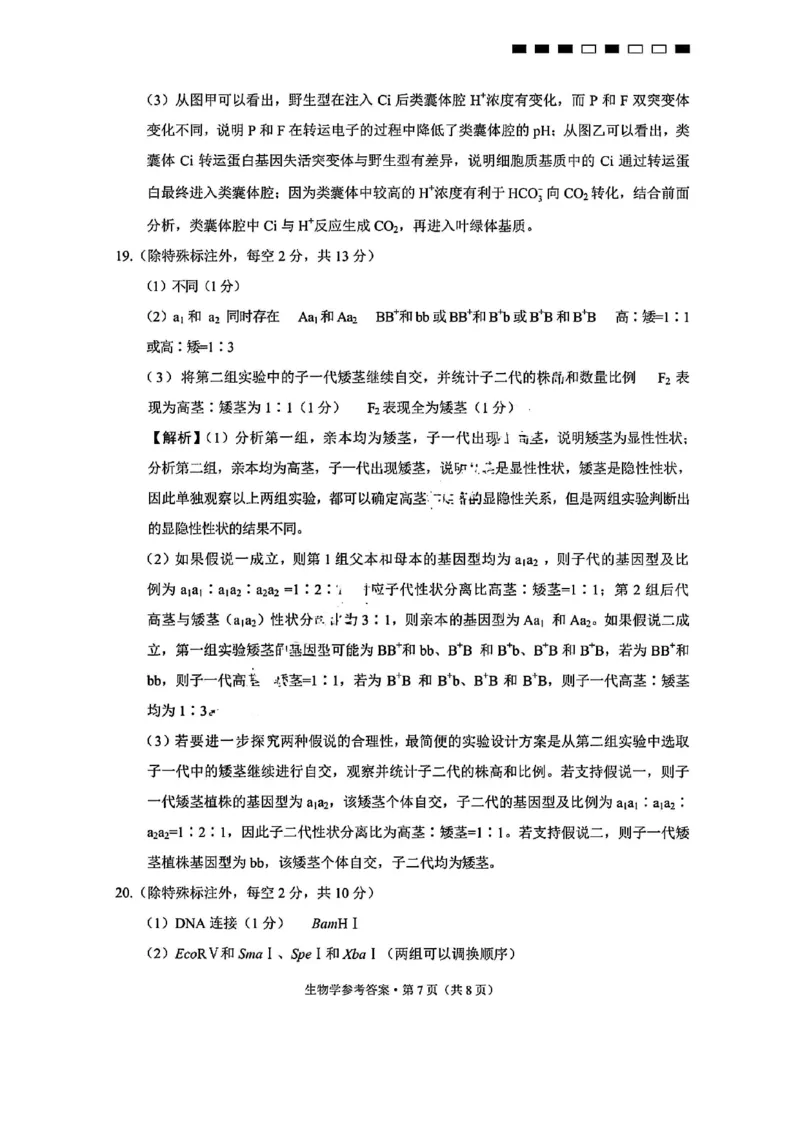 生物答案-重庆巴蜀中学2026届高三9月高考适应性月考卷（二）_2025年9月_250927重庆巴蜀中学2026届高三9月高考适应性月考卷（二）（全科）