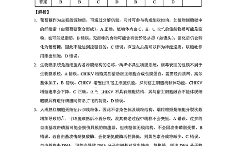 生物答案-重庆巴蜀中学2026届高三9月高考适应性月考卷（二）_2025年9月_250927重庆巴蜀中学2026届高三9月高考适应性月考卷（二）（全科）