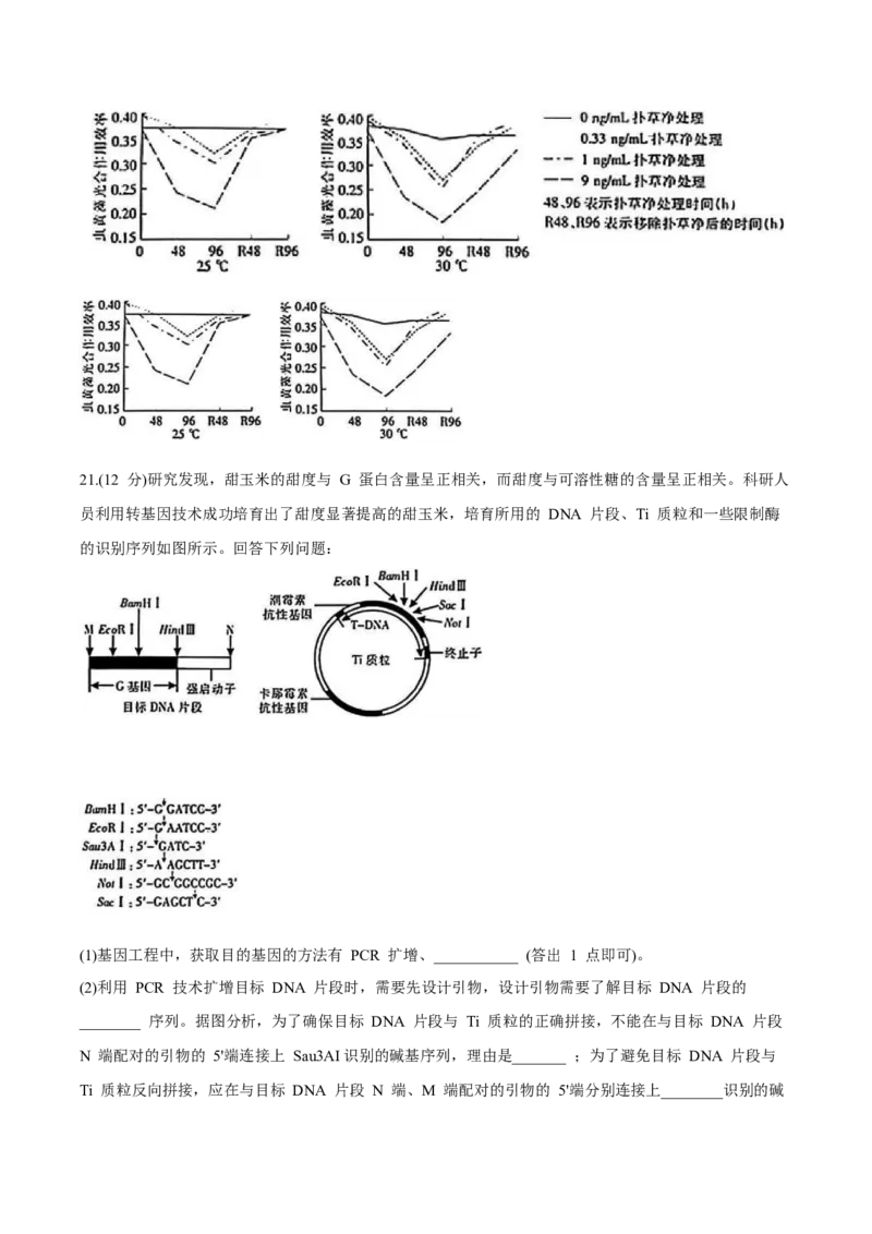 江西省&ldquo;红色十校&rdquo;2026届高三上学期第一次联考生物试卷（含答案）_2025年9月_250921江西省&ldquo;红色十校&rdquo;2026届高三上学期第一次联考