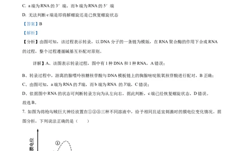 江苏省锡山高级中学2024-2025学年高三下学期2月综合练习生物答案_2025年3月_250301江苏省锡山高级中学2024-2025学年高三下学期2月综合练习（全科）