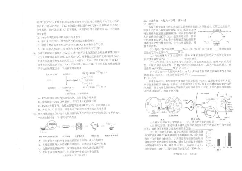 四川省南充市高2025届高考适应性考试（三诊）生物_2025年4月_250409四川省南充市高2025届高考适应性考试（南充三诊）（全科）_四川省南充市高2025届高考适应性考试（三诊）生物