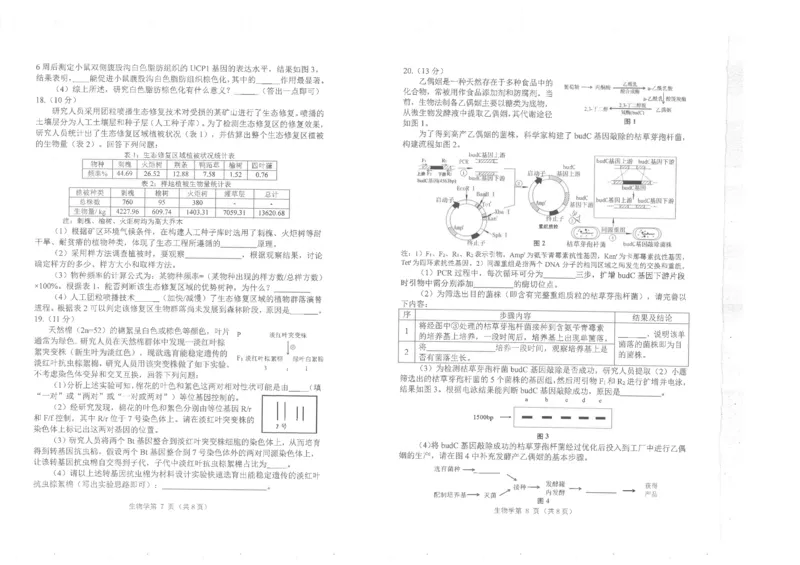 四川省南充市高2025届高考适应性考试（三诊）生物_2025年4月_250409四川省南充市高2025届高考适应性考试（南充三诊）（全科）_四川省南充市高2025届高考适应性考试（三诊）生物