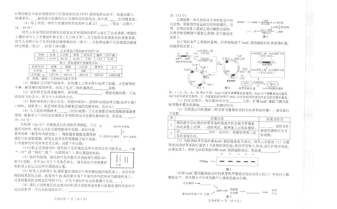 四川省南充市高2025届高考适应性考试（三诊）生物_2025年4月_250409四川省南充市高2025届高考适应性考试（南充三诊）（全科）_四川省南充市高2025届高考适应性考试（三诊）生物