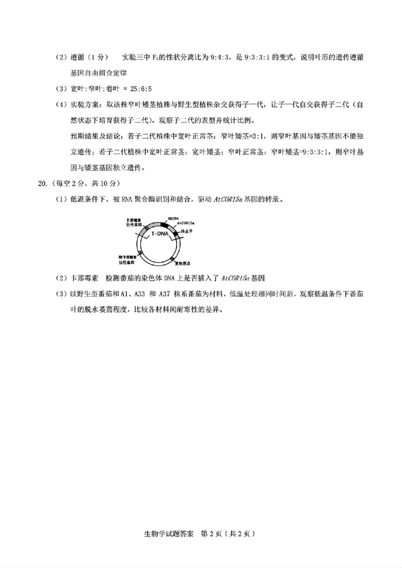 生物答案_2025年5月_250511合肥市2025届高三年级5月教学质量检测（合肥三模）（全科）_合肥市2025届高三年级5月教学质量检测（合肥三模）生物