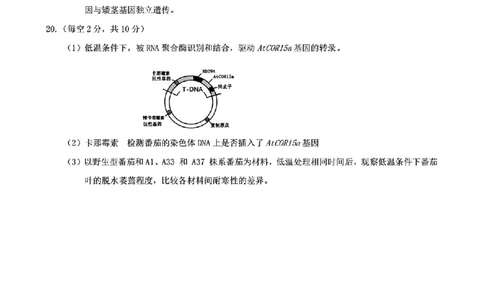 生物答案_2025年5月_250511合肥市2025届高三年级5月教学质量检测（合肥三模）（全科）_合肥市2025届高三年级5月教学质量检测（合肥三模）生物