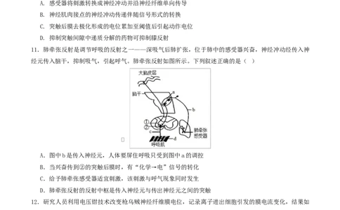 高二生物第一次月考卷测试范围：浙科版2019选择性必修1第1章~第2章（考试版）_1多考区联考试卷_2510142025-2026学年高二生物上学期第一次月考试题