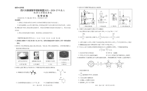 四川省大数据智学领航联盟2025-2026学年高三上学期开学考试化学试题（含答案）_2025年9月_250905四川省大数据联盟2025-2026学年高三上学期开学考试