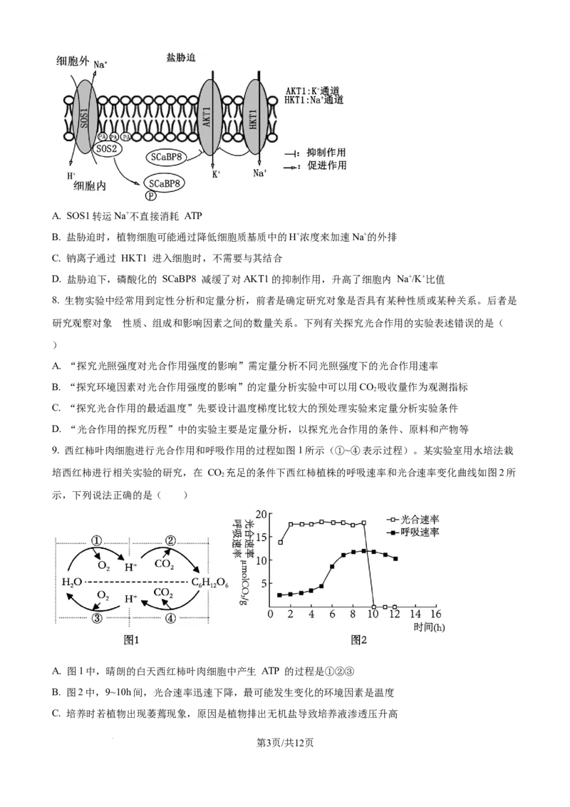 精品解析：山东省实验中学2025&mdash;2026学年高三上学期第一次诊断性考试生物试题（原卷版）_2025年10月_251016山东省实验中学2026届高三第一次诊断性考试（10月）