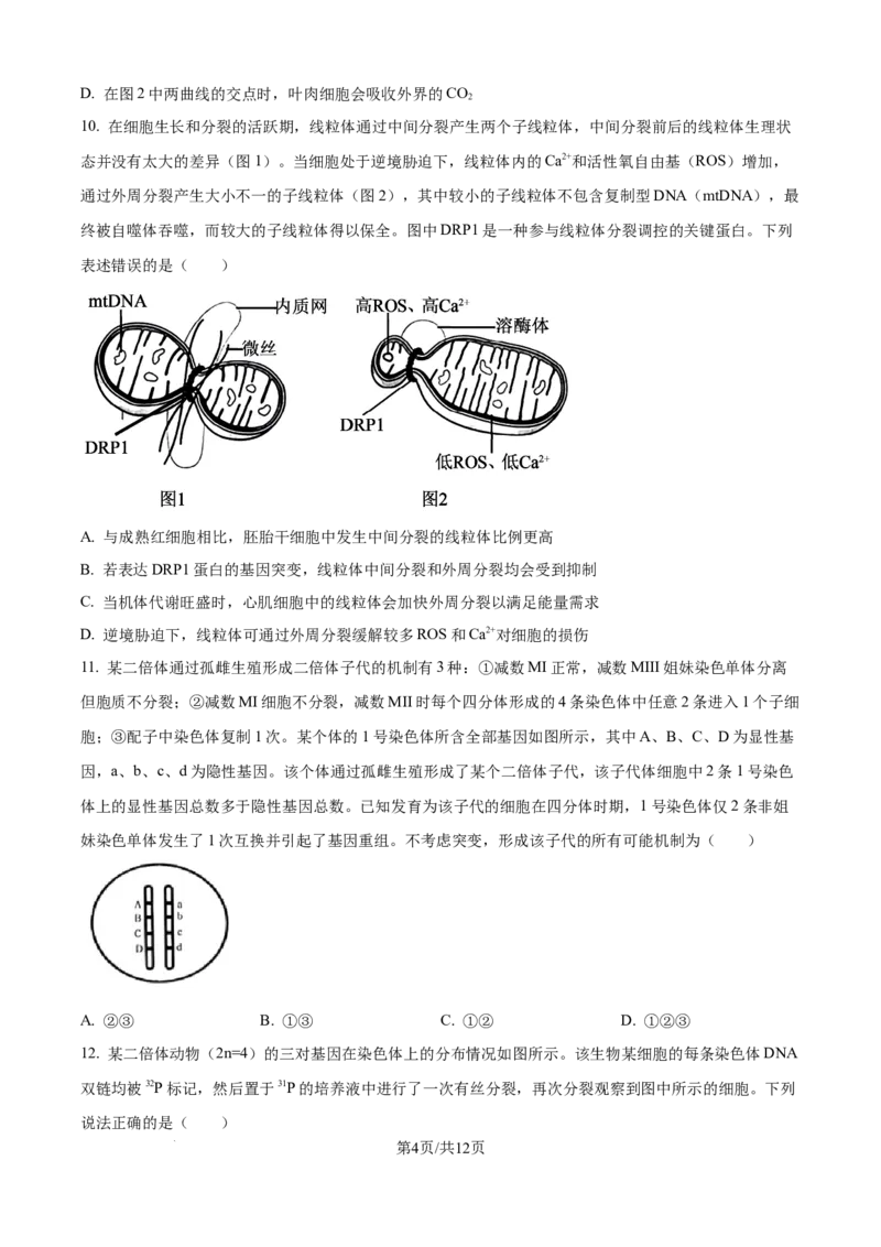 精品解析：山东省实验中学2025&mdash;2026学年高三上学期第一次诊断性考试生物试题（原卷版）_2025年10月_251016山东省实验中学2026届高三第一次诊断性考试（10月）