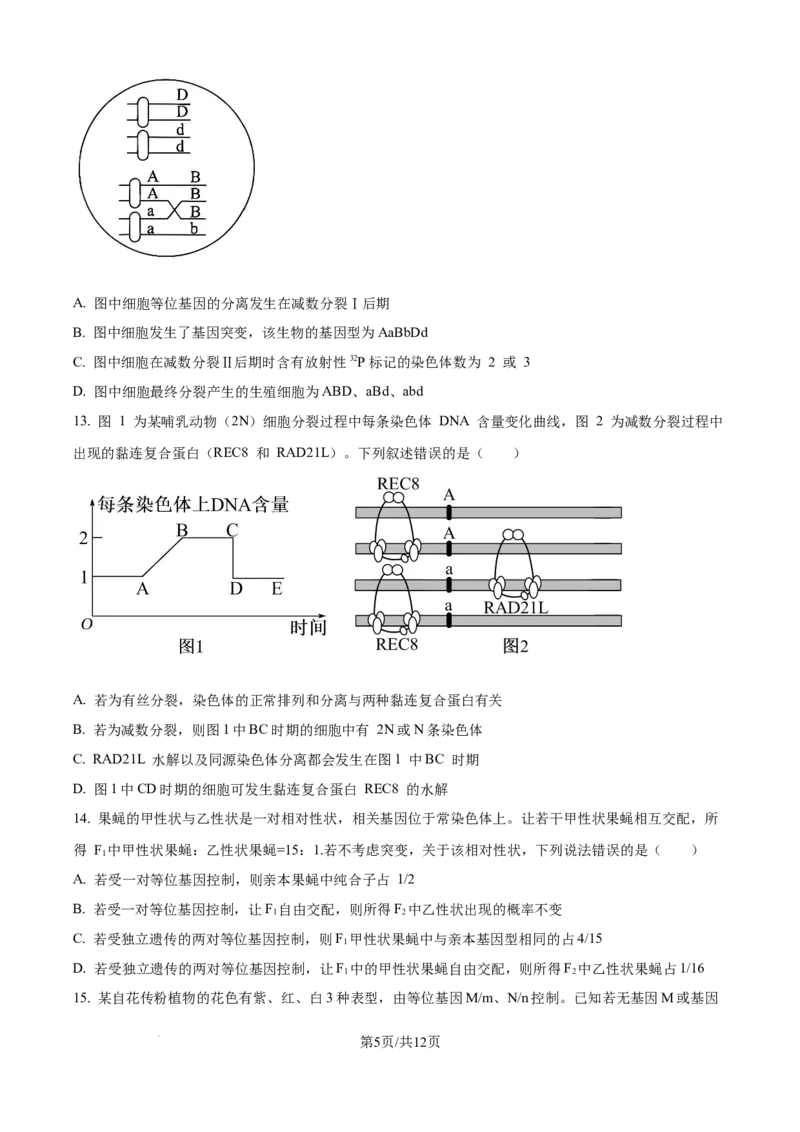 精品解析：山东省实验中学2025&mdash;2026学年高三上学期第一次诊断性考试生物试题（原卷版）_2025年10月_251016山东省实验中学2026届高三第一次诊断性考试（10月）