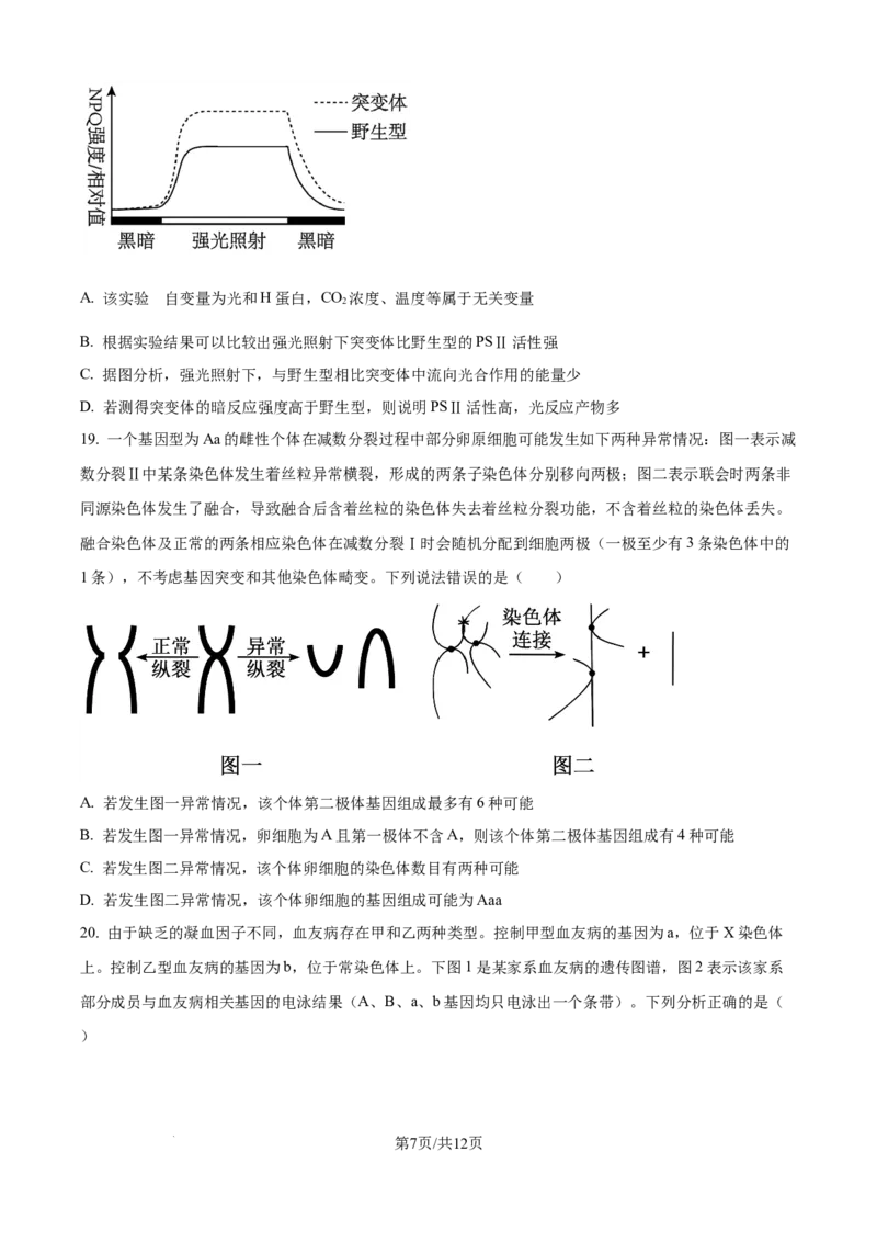 精品解析：山东省实验中学2025&mdash;2026学年高三上学期第一次诊断性考试生物试题（原卷版）_2025年10月_251016山东省实验中学2026届高三第一次诊断性考试（10月）