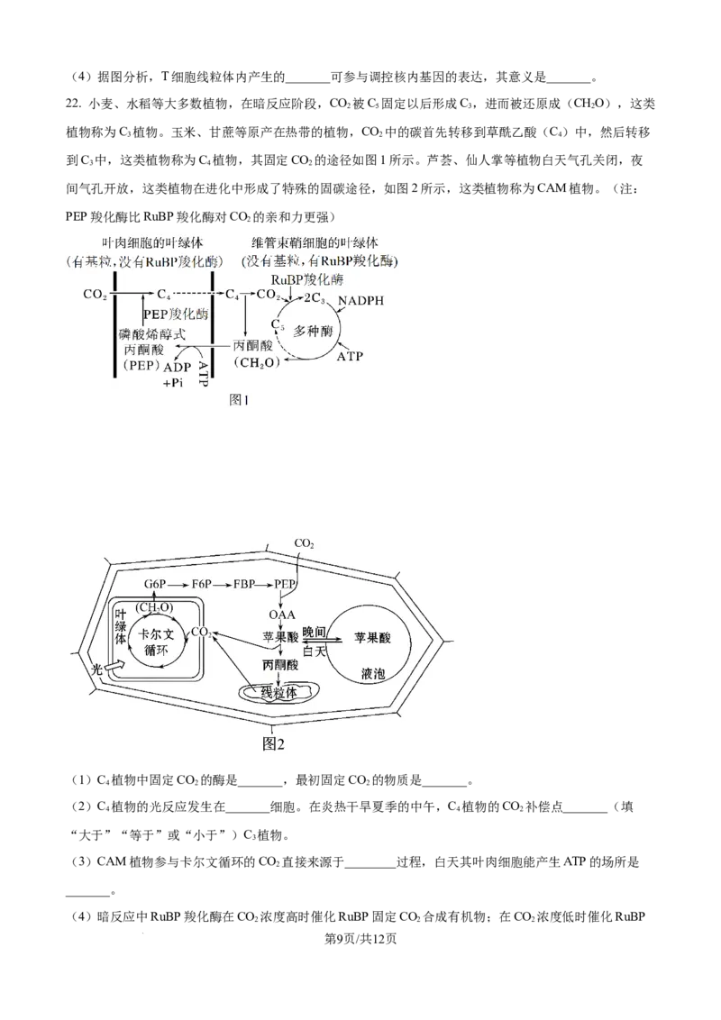 精品解析：山东省实验中学2025&mdash;2026学年高三上学期第一次诊断性考试生物试题（原卷版）_2025年10月_251016山东省实验中学2026届高三第一次诊断性考试（10月）