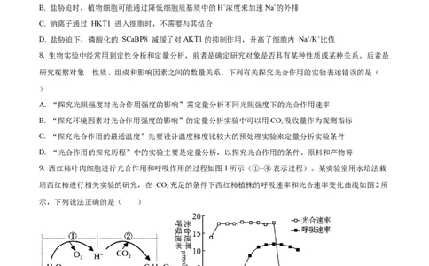 精品解析：山东省实验中学2025&mdash;2026学年高三上学期第一次诊断性考试生物试题（原卷版）_2025年10月_251016山东省实验中学2026届高三第一次诊断性考试（10月）