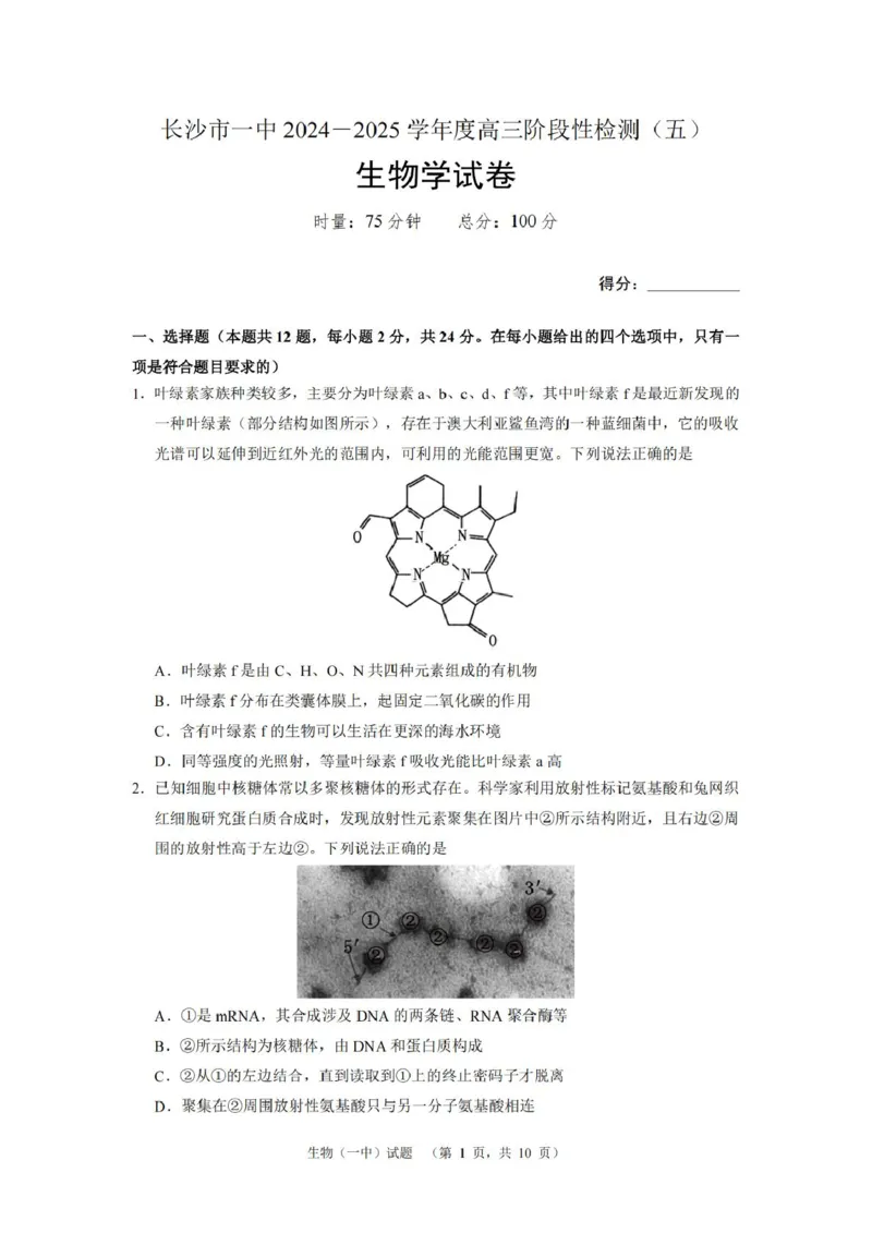 湖南省长沙市第一中学2025届高三上学期阶段性检测（五）生物试卷（含解析）_2025年1月_250107湖南省长沙市第一中学2025届高三上学期阶段性检测（五）