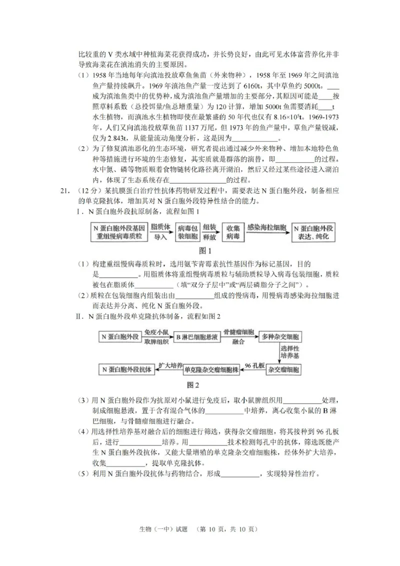 湖南省长沙市第一中学2025届高三上学期阶段性检测（五）生物试卷（含解析）_2025年1月_250107湖南省长沙市第一中学2025届高三上学期阶段性检测（五）