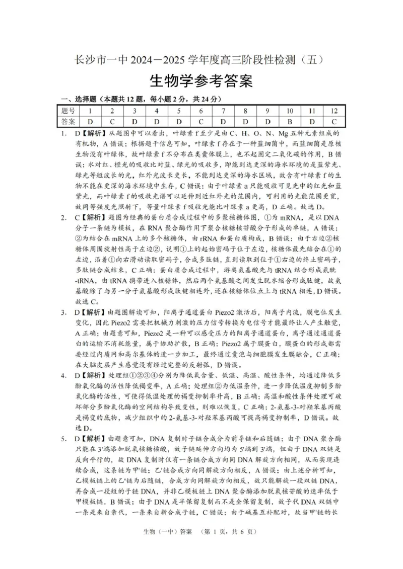 湖南省长沙市第一中学2025届高三上学期阶段性检测（五）生物试卷（含解析）_2025年1月_250107湖南省长沙市第一中学2025届高三上学期阶段性检测（五）