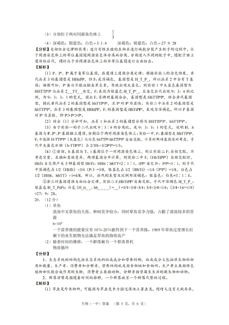 湖南省长沙市第一中学2025届高三上学期阶段性检测（五）生物试卷（含解析）_2025年1月_250107湖南省长沙市第一中学2025届高三上学期阶段性检测（五）