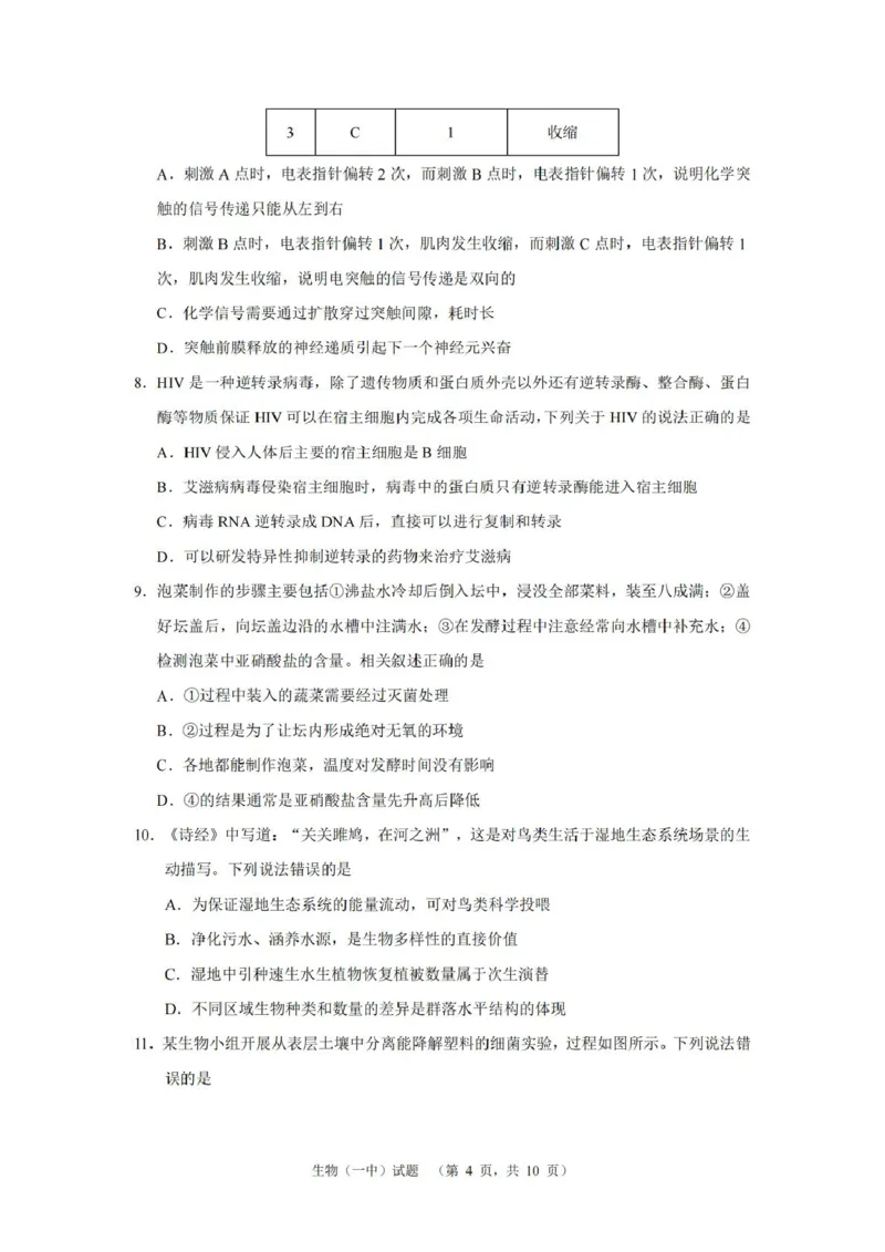 湖南省长沙市第一中学2025届高三上学期阶段性检测（五）生物试卷（含解析）_2025年1月_250107湖南省长沙市第一中学2025届高三上学期阶段性检测（五）
