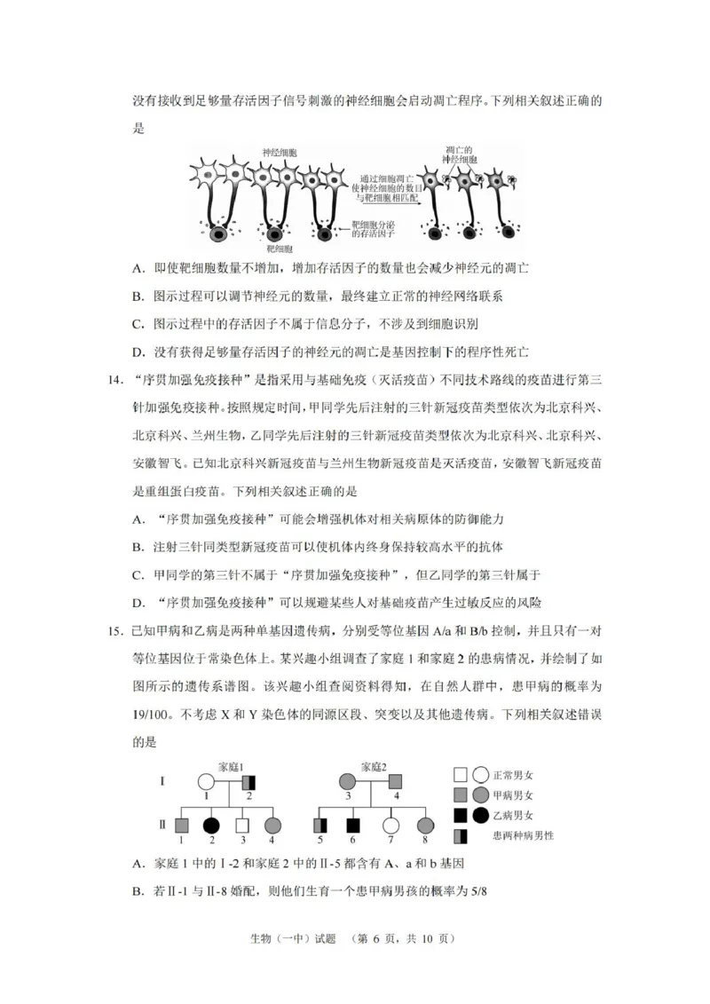 湖南省长沙市第一中学2025届高三上学期阶段性检测（五）生物试卷（含解析）_2025年1月_250107湖南省长沙市第一中学2025届高三上学期阶段性检测（五）