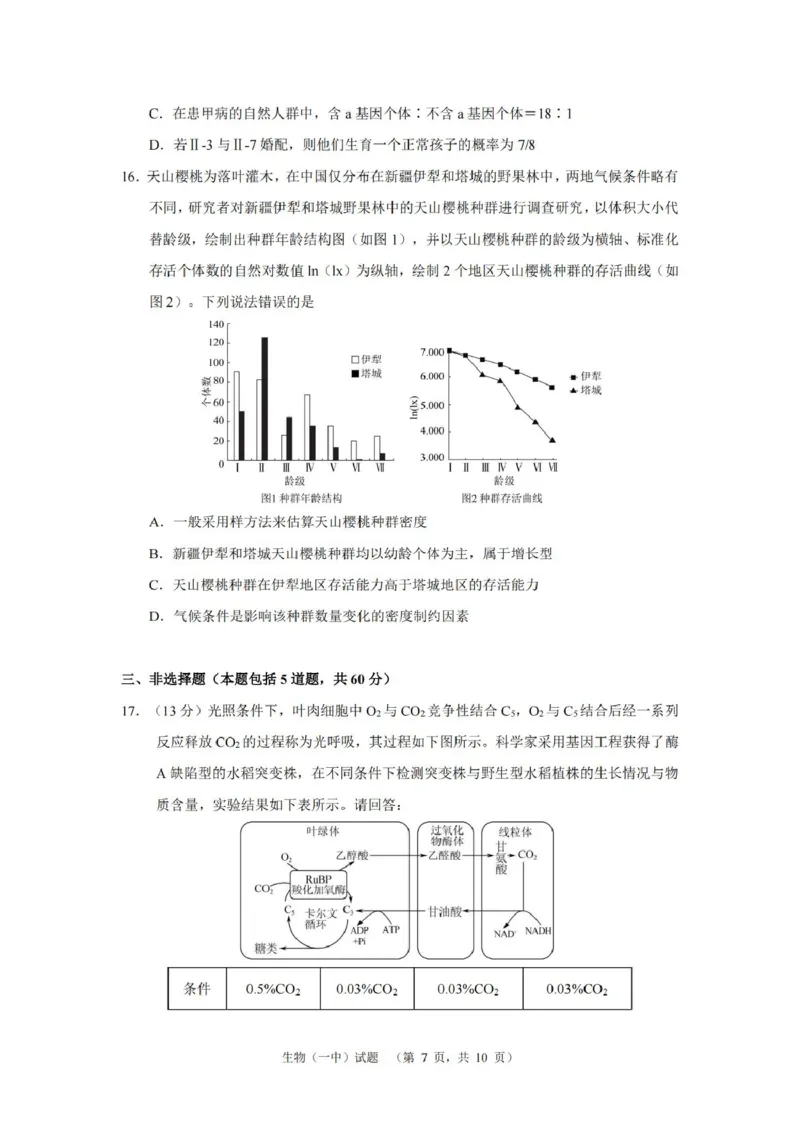 湖南省长沙市第一中学2025届高三上学期阶段性检测（五）生物试卷（含解析）_2025年1月_250107湖南省长沙市第一中学2025届高三上学期阶段性检测（五）