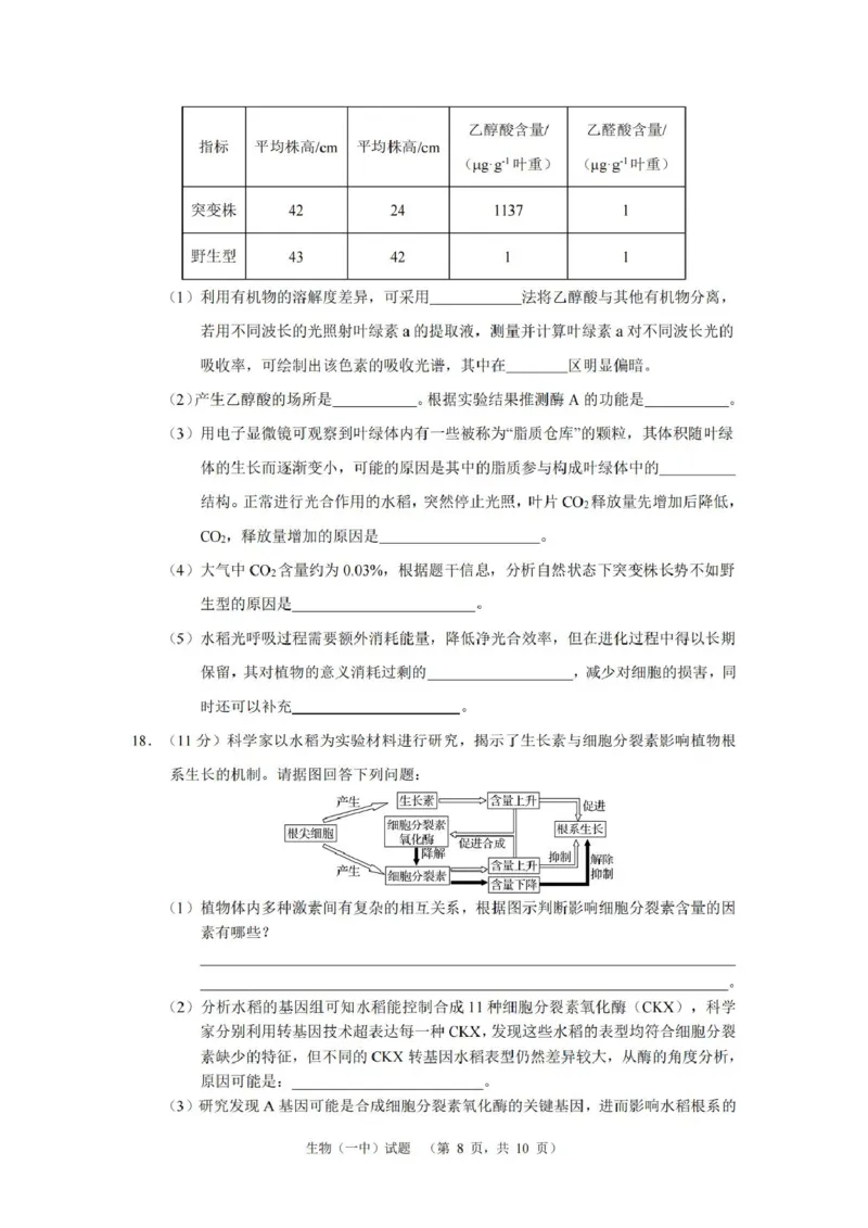 湖南省长沙市第一中学2025届高三上学期阶段性检测（五）生物试卷（含解析）_2025年1月_250107湖南省长沙市第一中学2025届高三上学期阶段性检测（五）