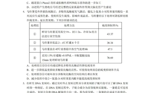 湖南省长沙市第一中学2025届高三上学期阶段性检测（五）生物试卷（含解析）_2025年1月_250107湖南省长沙市第一中学2025届高三上学期阶段性检测（五）