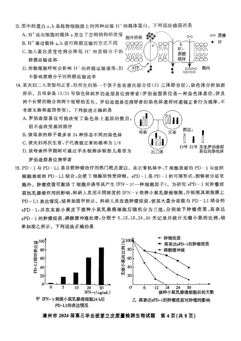 生物试卷_2025年3月_250309漳州市2025届高三毕业班第三次教学质量检测（全科）_福建省漳州市2025届高三下学期第三次教学质量检测生物试卷（含答案）