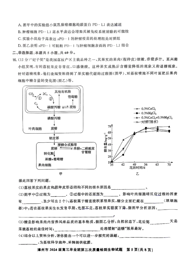生物试卷_2025年3月_250309漳州市2025届高三毕业班第三次教学质量检测（全科）_福建省漳州市2025届高三下学期第三次教学质量检测生物试卷（含答案）