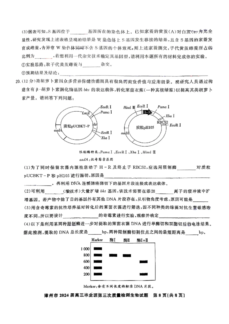 生物试卷_2025年3月_250309漳州市2025届高三毕业班第三次教学质量检测（全科）_福建省漳州市2025届高三下学期第三次教学质量检测生物试卷（含答案）