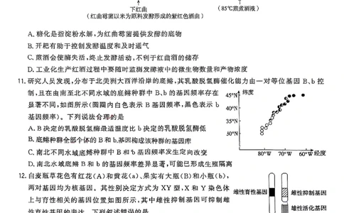 生物试卷_2025年3月_250309漳州市2025届高三毕业班第三次教学质量检测（全科）_福建省漳州市2025届高三下学期第三次教学质量检测生物试卷（含答案）