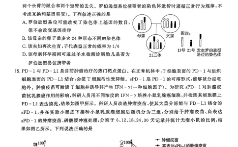 生物试卷_2025年3月_250309漳州市2025届高三毕业班第三次教学质量检测（全科）_福建省漳州市2025届高三下学期第三次教学质量检测生物试卷（含答案）