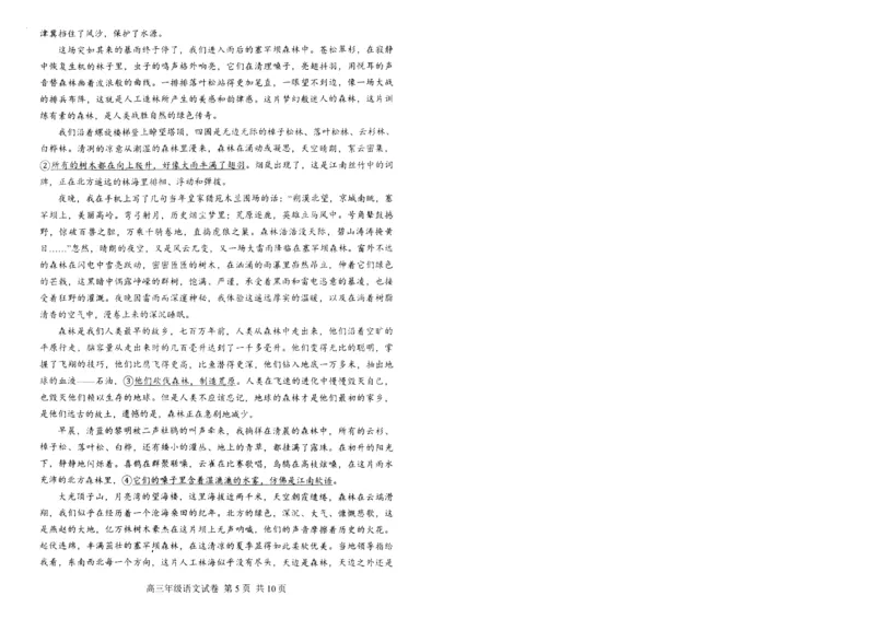 湖北省武昌区2025届高三年级5月质量检测语文_2025年5月_250518湖北省武昌区2025届高三年级5月质量检测（全科）