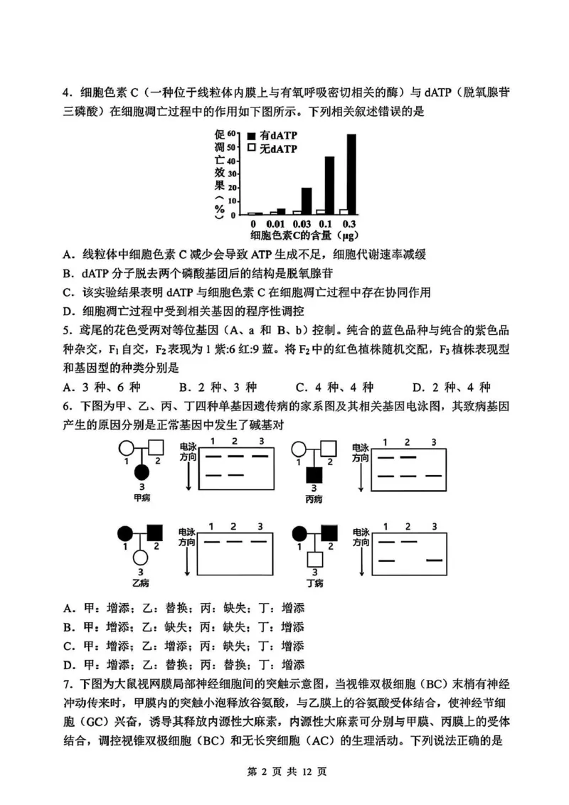 吉林省长春市东北师范大学附属中学2024-2025学年高三下学期第四次模拟考试生物试题_2025年5月_250516吉林省长春市东北师范大学附属中学高三下学期第四次模拟考试（全科）
