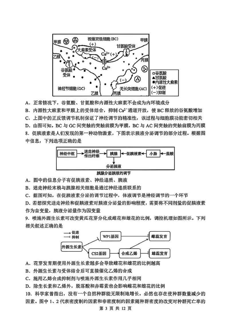 吉林省长春市东北师范大学附属中学2024-2025学年高三下学期第四次模拟考试生物试题_2025年5月_250516吉林省长春市东北师范大学附属中学高三下学期第四次模拟考试（全科）
