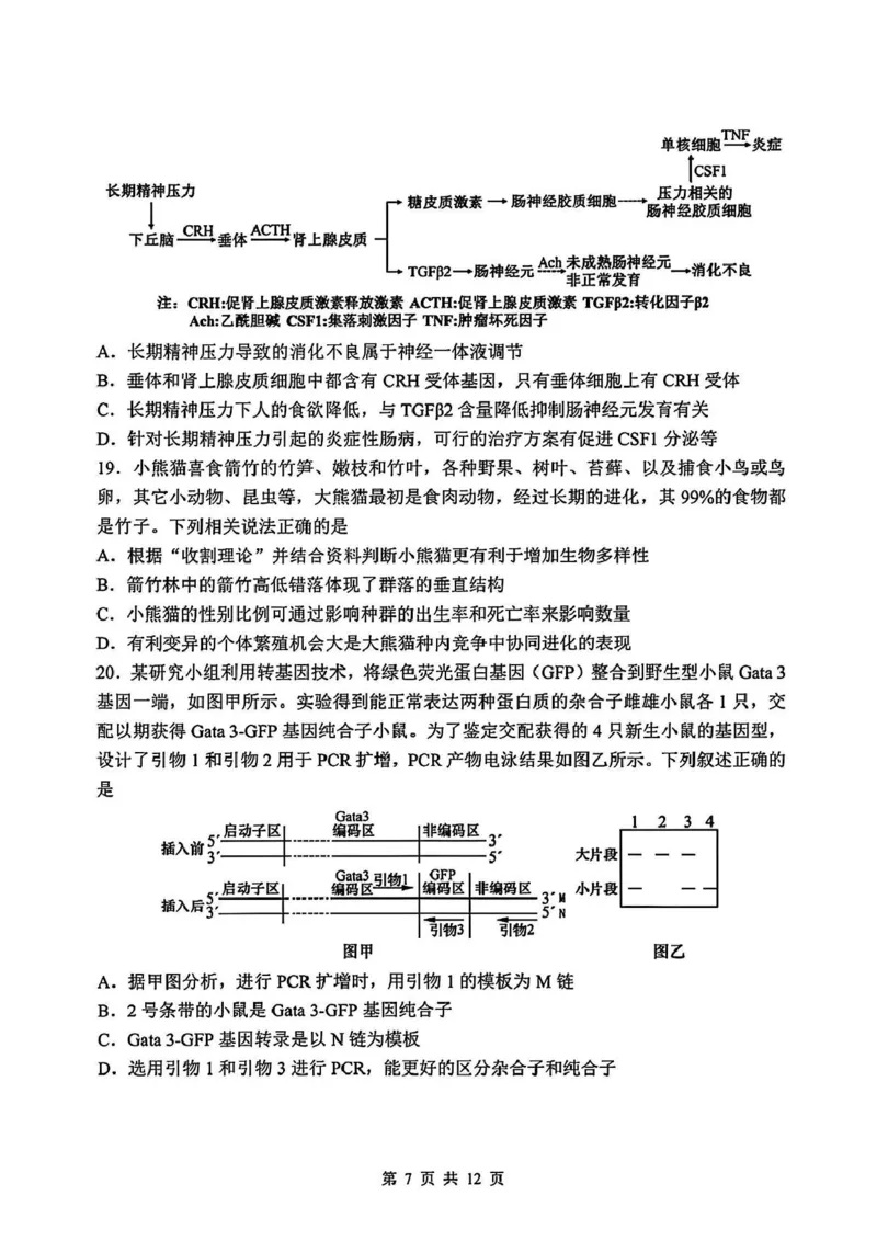 吉林省长春市东北师范大学附属中学2024-2025学年高三下学期第四次模拟考试生物试题_2025年5月_250516吉林省长春市东北师范大学附属中学高三下学期第四次模拟考试（全科）