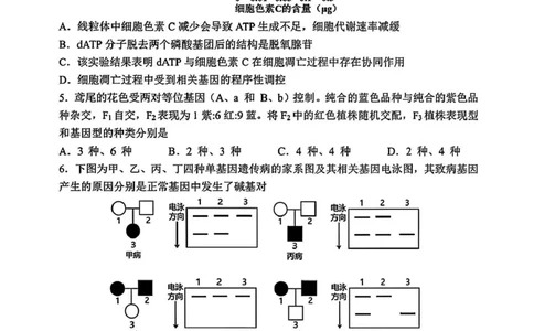 吉林省长春市东北师范大学附属中学2024-2025学年高三下学期第四次模拟考试生物试题_2025年5月_250516吉林省长春市东北师范大学附属中学高三下学期第四次模拟考试（全科）