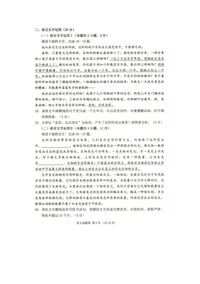 辽宁省抚顺市2024-2025学年高三下学期3月模拟考试语文试卷_2025年3月_250313辽宁省抚顺市2024-2025学年高三下学期3月模拟考试