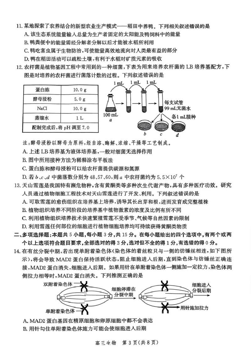 河北省邯郸市2025届高三第二次调研生物试卷_2025年1月_250109河北省邯郸市2025届高三上学期第二次调研监测_河北省邯郸市2025届高三第二次调研生物