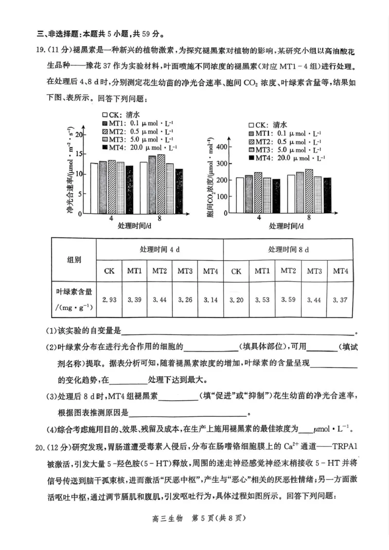 河北省邯郸市2025届高三第二次调研生物试卷_2025年1月_250109河北省邯郸市2025届高三上学期第二次调研监测_河北省邯郸市2025届高三第二次调研生物