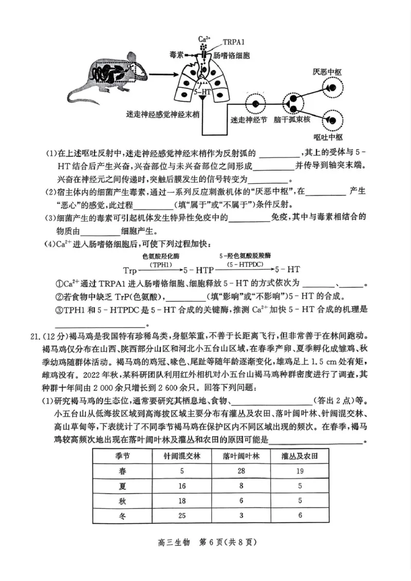 河北省邯郸市2025届高三第二次调研生物试卷_2025年1月_250109河北省邯郸市2025届高三上学期第二次调研监测_河北省邯郸市2025届高三第二次调研生物