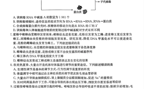 河北省邯郸市2025届高三第二次调研生物试卷_2025年1月_250109河北省邯郸市2025届高三上学期第二次调研监测_河北省邯郸市2025届高三第二次调研生物