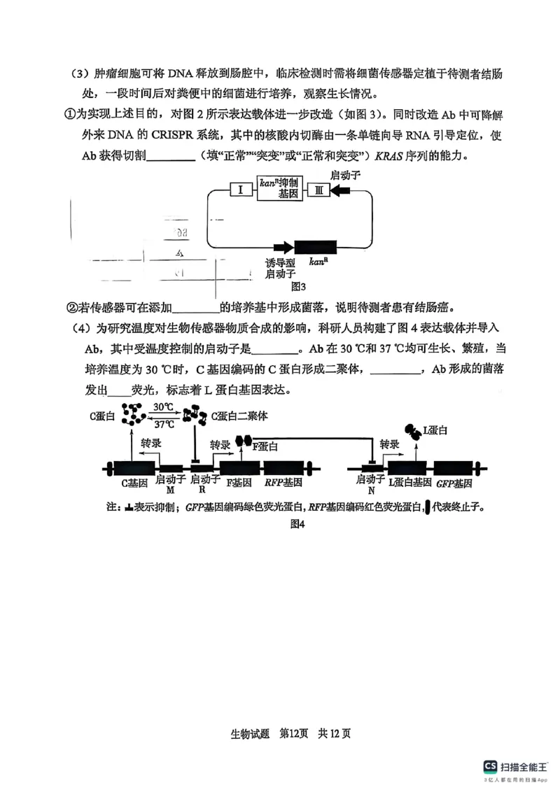 山东省实验中学2025届高三第一次模拟考试生物_2025年5月_250511山东省实验中学2025届高三第一次模拟考试（全科）