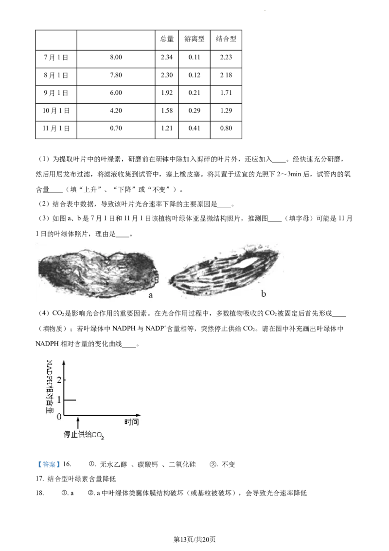 安徽省淮南市、淮北市2025届高三上学期第一次质量检测生物答案_2025年1月_250113安徽省淮南市、淮北市2025届高三上学期第一次质量检测（全科）