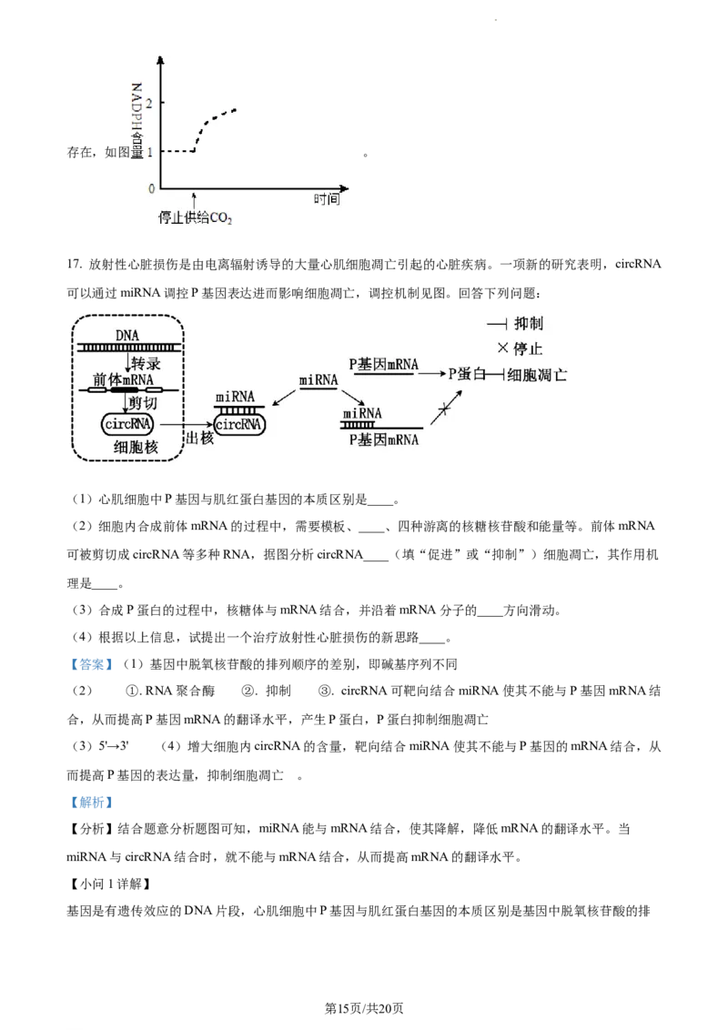 安徽省淮南市、淮北市2025届高三上学期第一次质量检测生物答案_2025年1月_250113安徽省淮南市、淮北市2025届高三上学期第一次质量检测（全科）