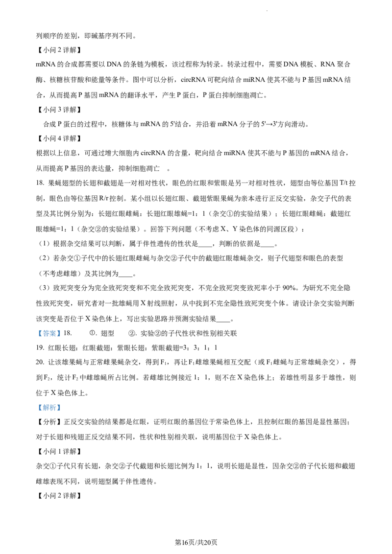 安徽省淮南市、淮北市2025届高三上学期第一次质量检测生物答案_2025年1月_250113安徽省淮南市、淮北市2025届高三上学期第一次质量检测（全科）