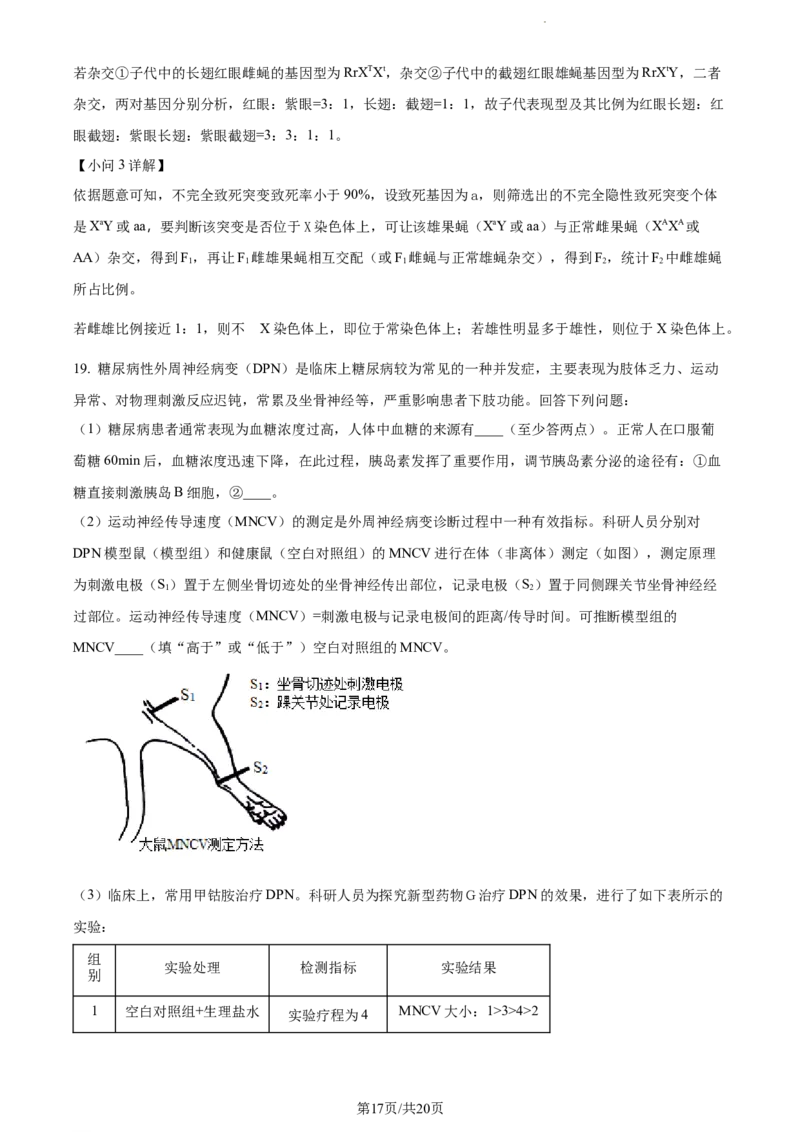 安徽省淮南市、淮北市2025届高三上学期第一次质量检测生物答案_2025年1月_250113安徽省淮南市、淮北市2025届高三上学期第一次质量检测（全科）