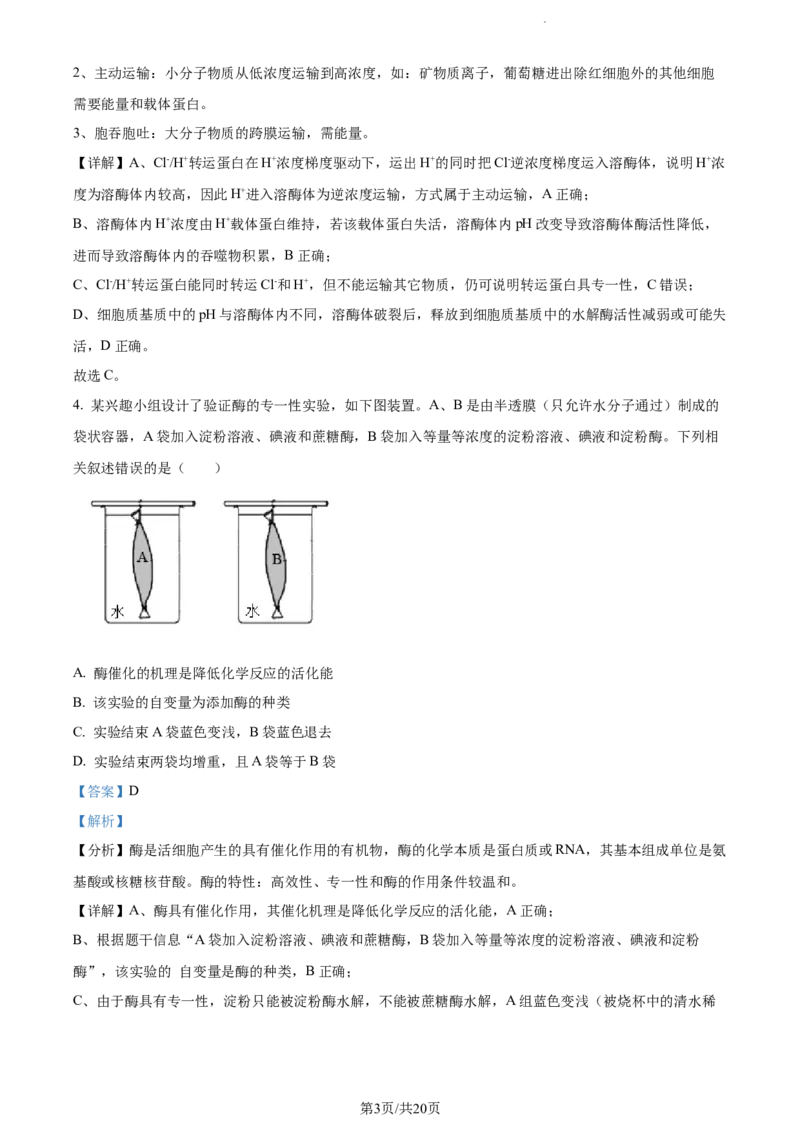 安徽省淮南市、淮北市2025届高三上学期第一次质量检测生物答案_2025年1月_250113安徽省淮南市、淮北市2025届高三上学期第一次质量检测（全科）