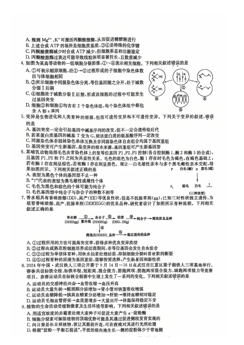 湖北省黄冈市2025届高三下学期核心预测卷生物_2025年2月_2502282025届高三下学期核心预测卷（全科）